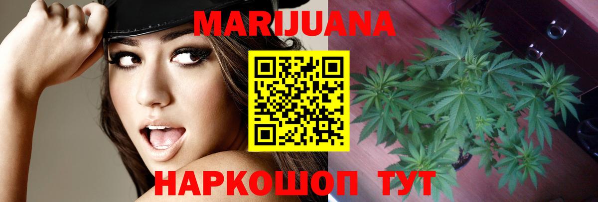 Канабис семена Ставрополь
